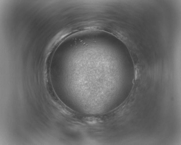 X0000054430339200508051838