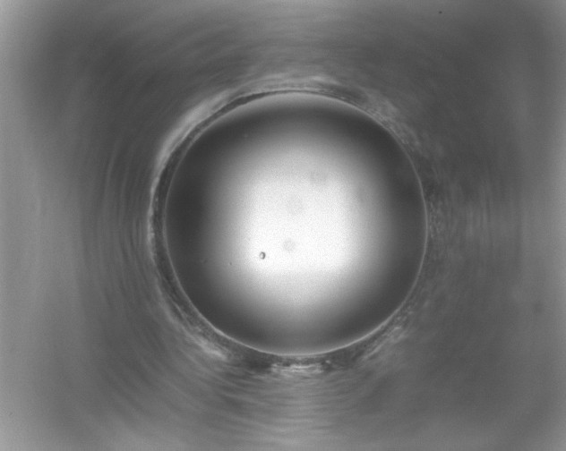 X0000054430340200508051838