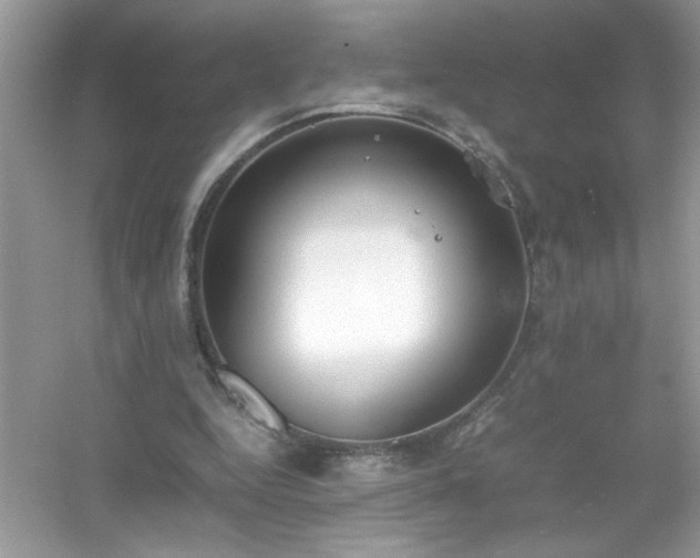 X0000054430344200508051838