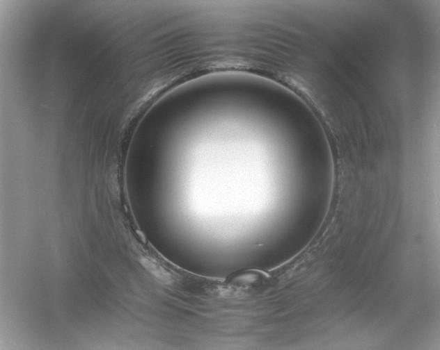 X0000054430345200508051838