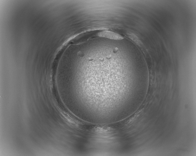 X0000054430346200508051838