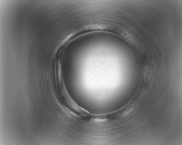 X0000054430352200508051838