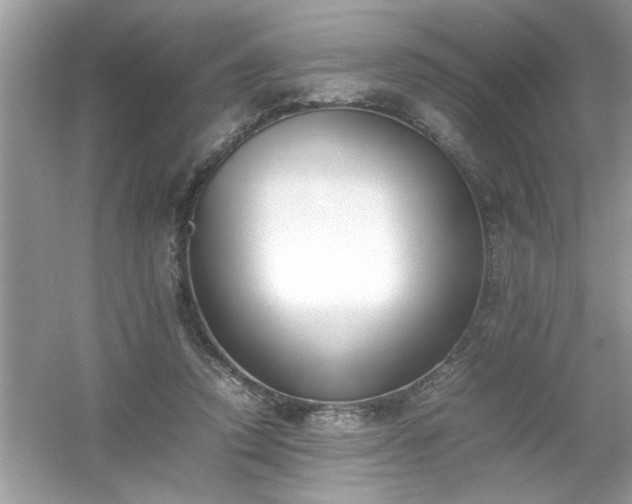 X0000054430354200508051838