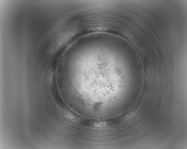 X0000054430355200508051839