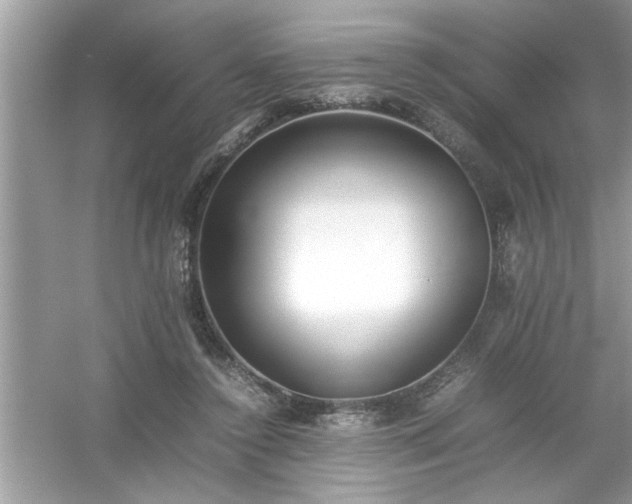 X0000054430356200508051839