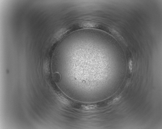 X0000054430359200508051839