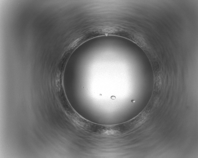 X0000054430360200508051839