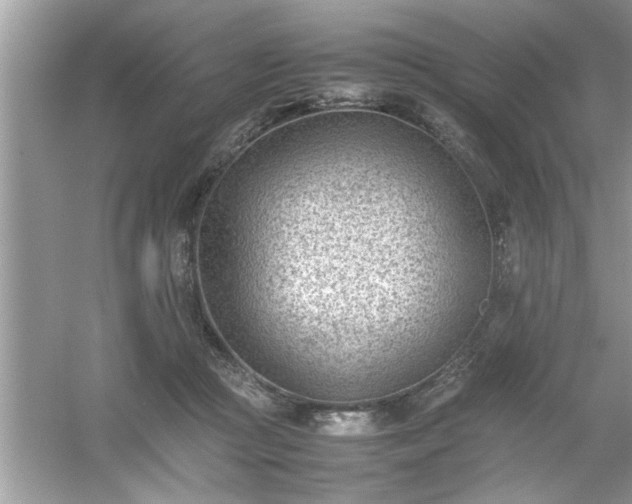 X0000054430361200508051839