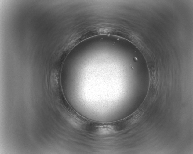 X0000054430363200508051839