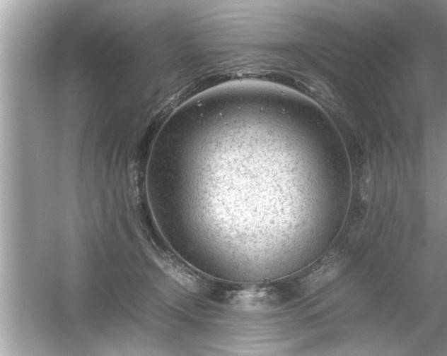 X0000054430366200508051839