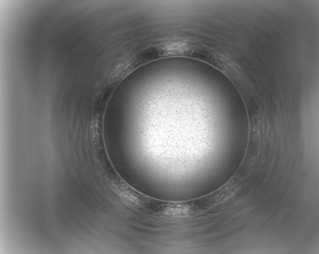 X0000054430369200508051839