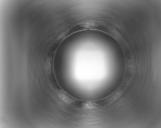 X0000054430372200508051839