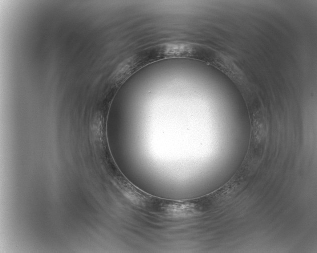 X0000054430375200508051839