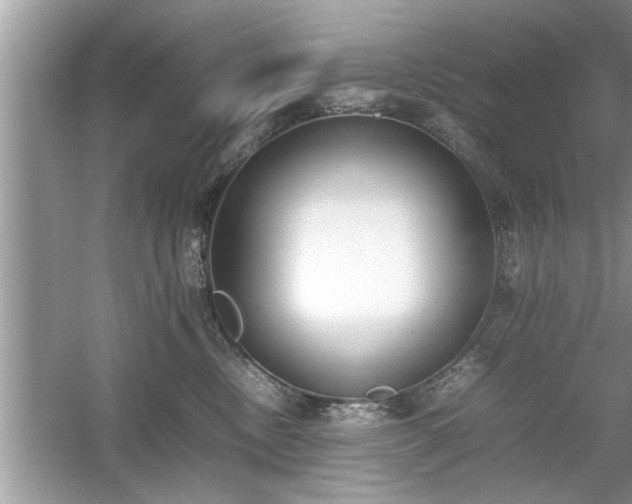 X0000054430378200508051839