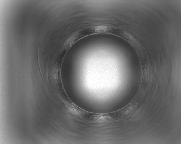 X0000054430379200508051839