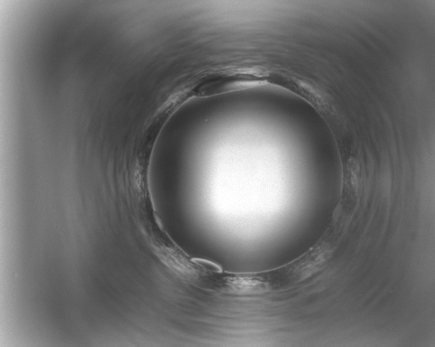 X0000054430380200508051839