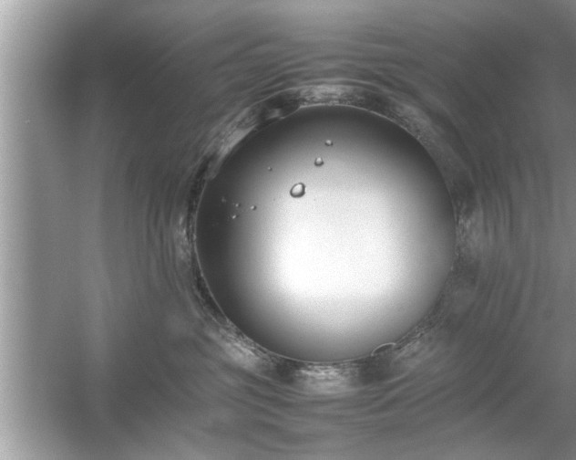 X0000054430381200508051839