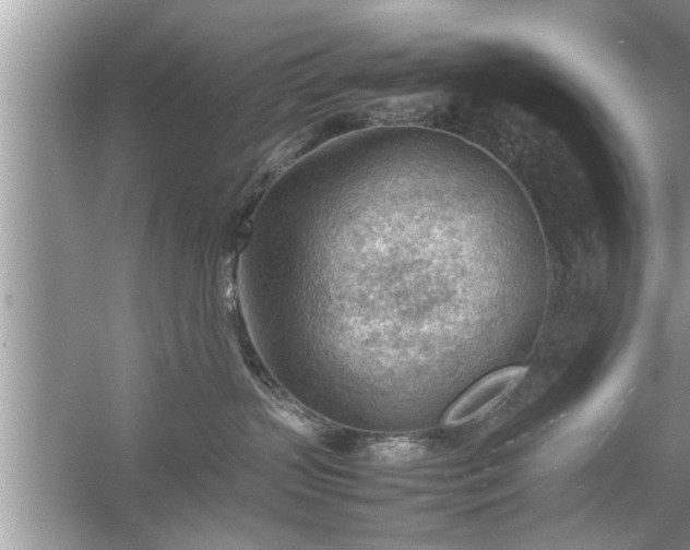 X0000054430383200508051839