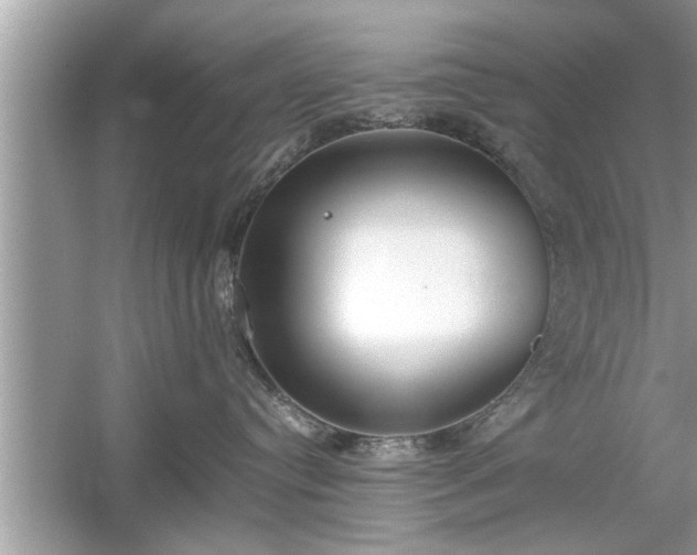 X0000054430384200508051839