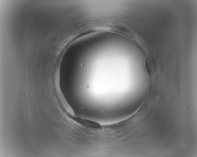 X0000054430385200508051838