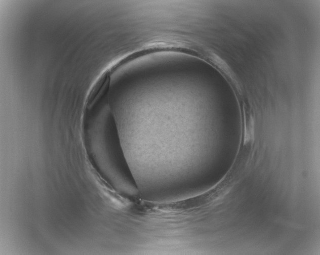 X0000054430387200508051838