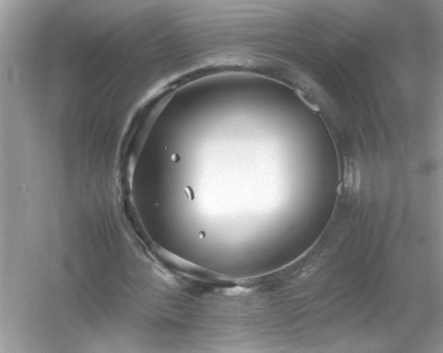 X0000054430388200508051838