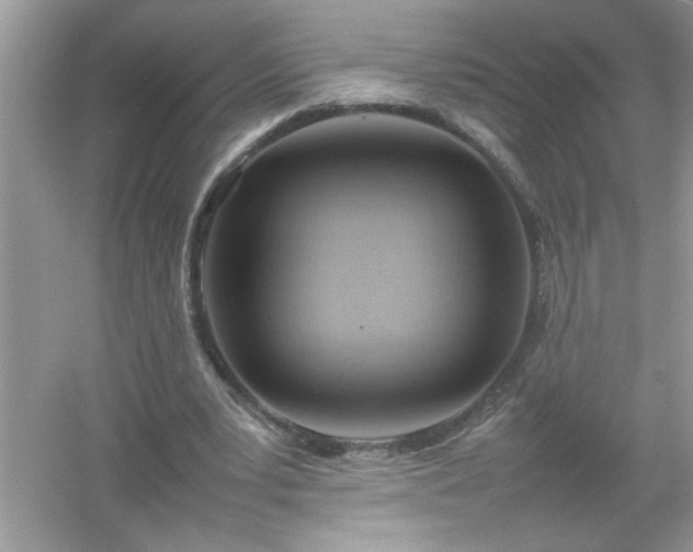 X0000054430391200508051838