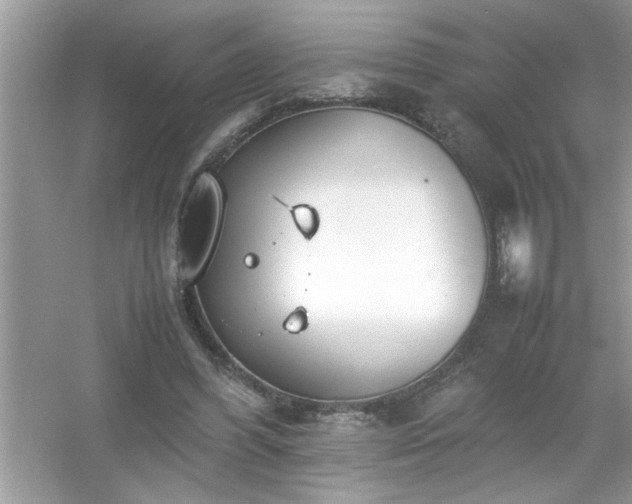 X0000054430396200508051838