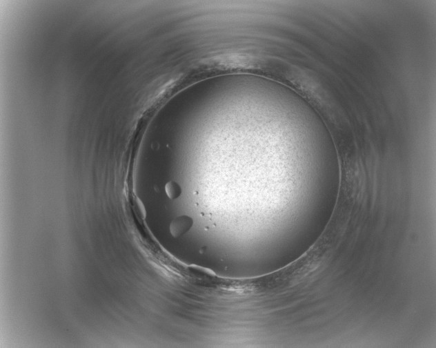 X0000054430398200508051838