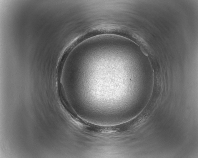 X0000054430399200508051838