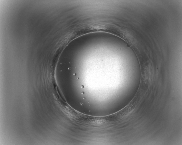 X0000054430402200508051838