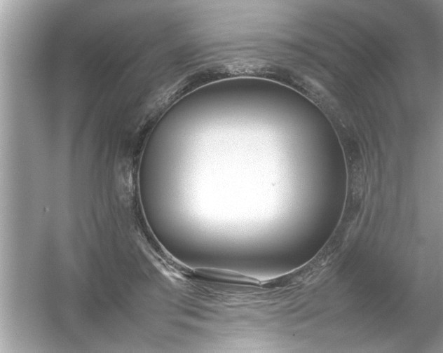 X0000054430405200508051838