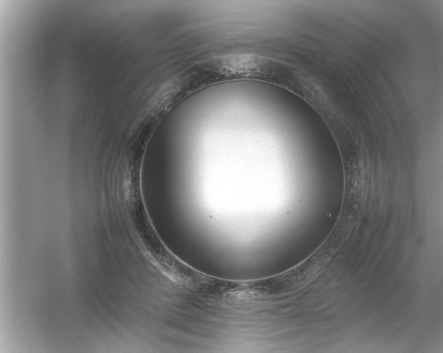 X0000054430408200508051838