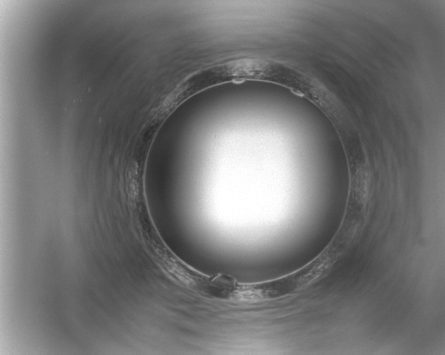 X0000054430413200508051838