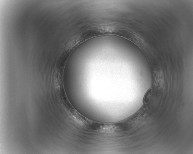 X0000054430414200508051838