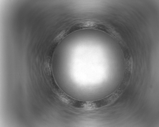 X0000054430415200508051838