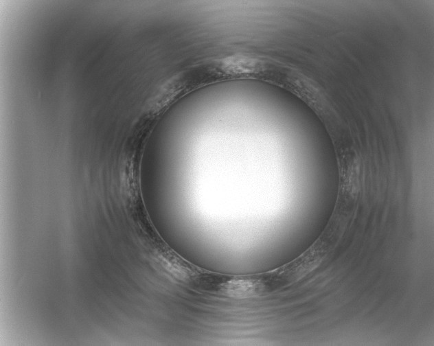 X0000054430418200508051838