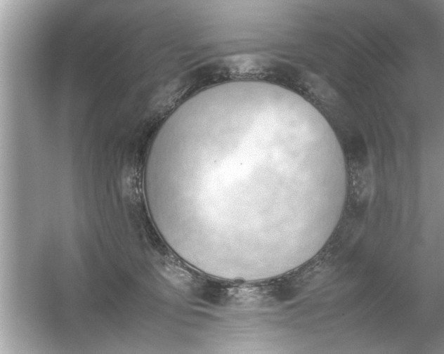 X0000054430419200508051838