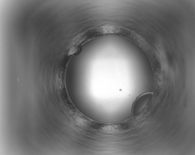 X0000054430422200508051838