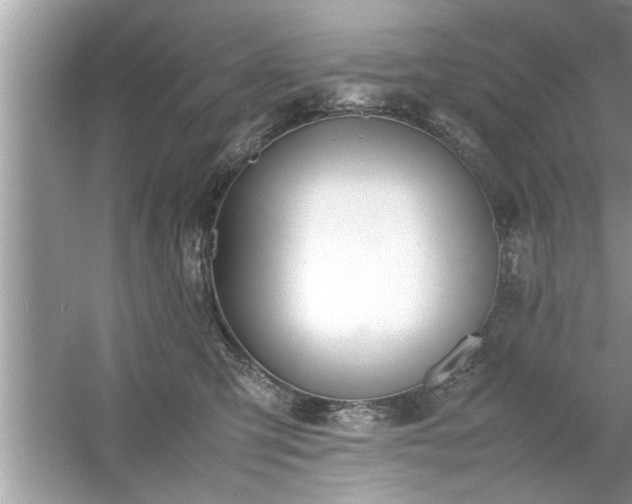 X0000054430423200508051838