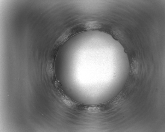 X0000054430426200508051837