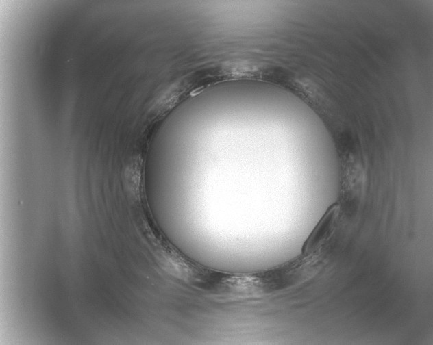 X0000054430427200508051837