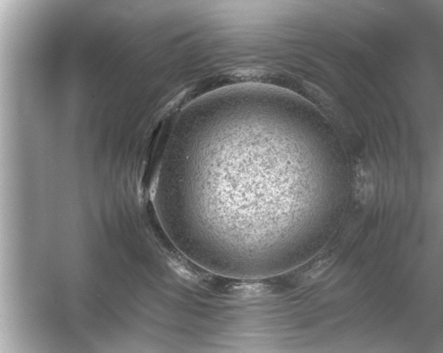 X0000054430428200508051837