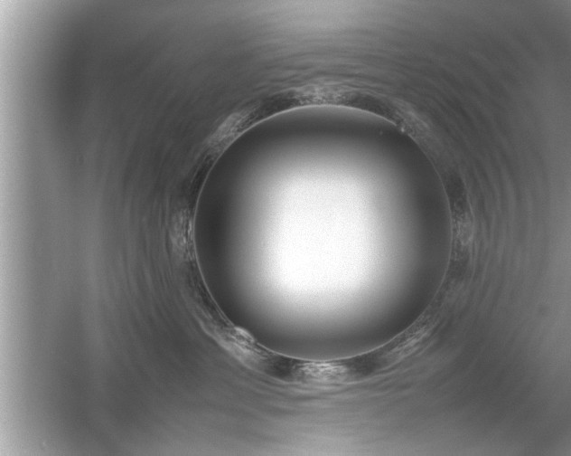 X0000054430429200508051837