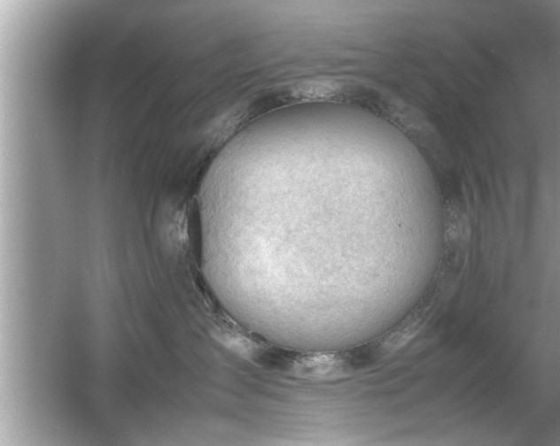 X0000054430431200508051837