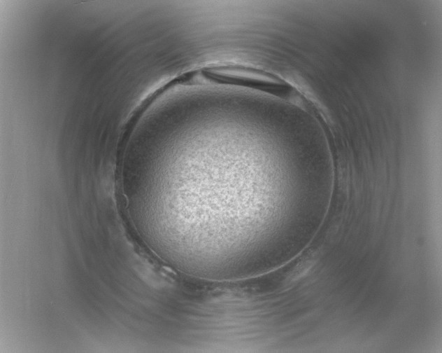 X0000054430434200508051837