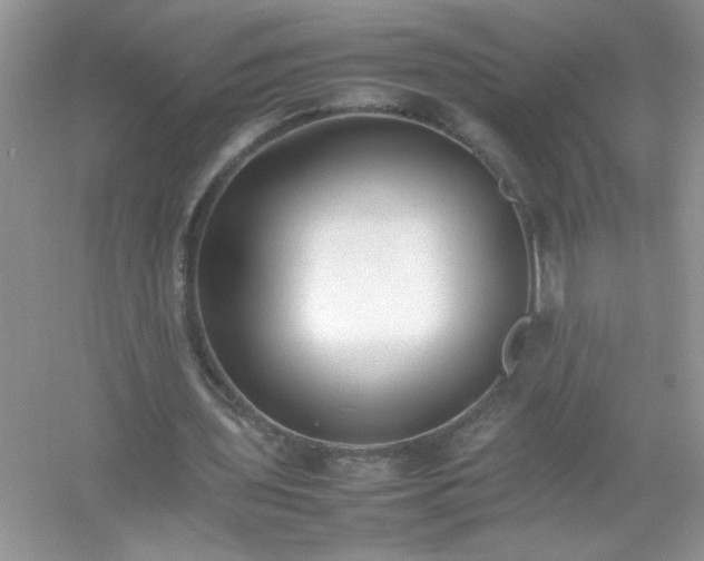 X0000054430435200508051837