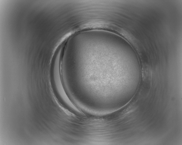 X0000054430438200508051837