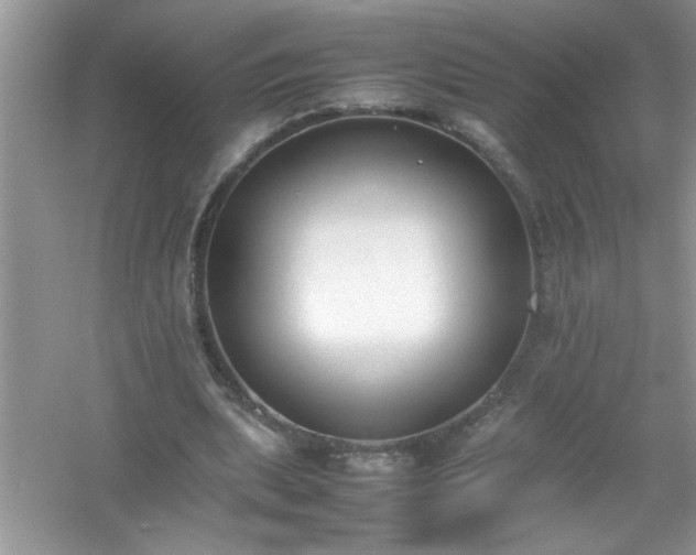 X0000054430439200508051837