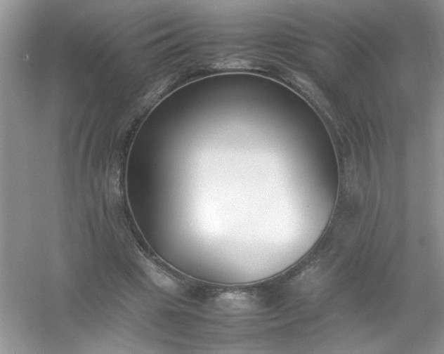 X0000054430441200508051837